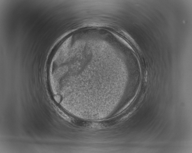 X0000082170787200702092242