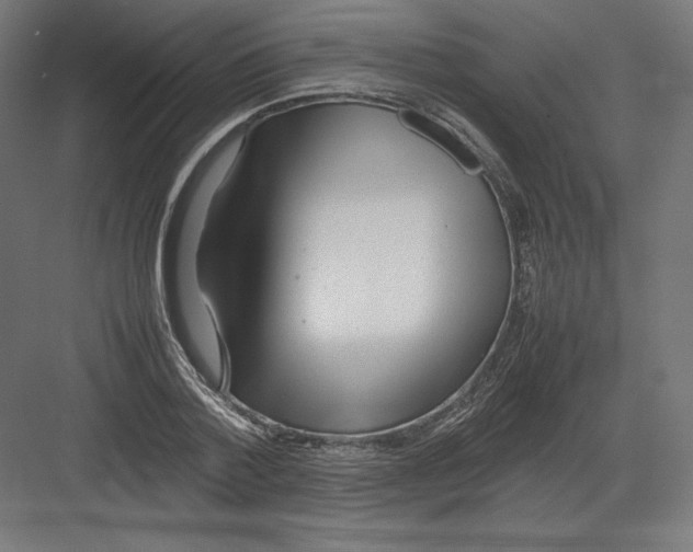 X0000082170788200702092242