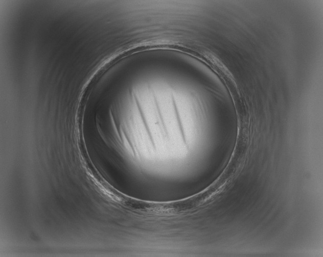 X0000082170789200702092242