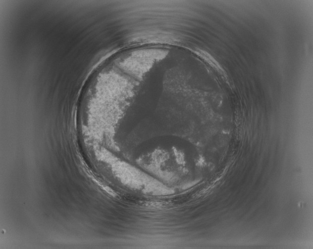 X0000082170790200702092242