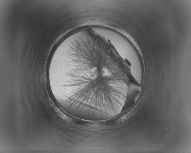 X0000082170791200702092242