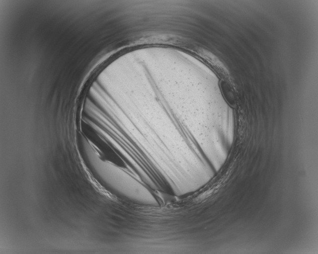 X0000082170792200702092242