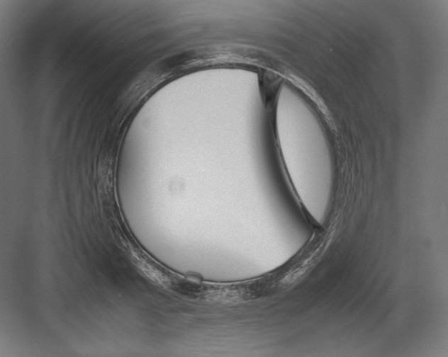 X0000082170793200702092242