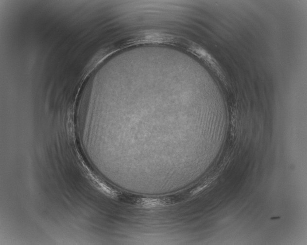 X0000082170794200702092242