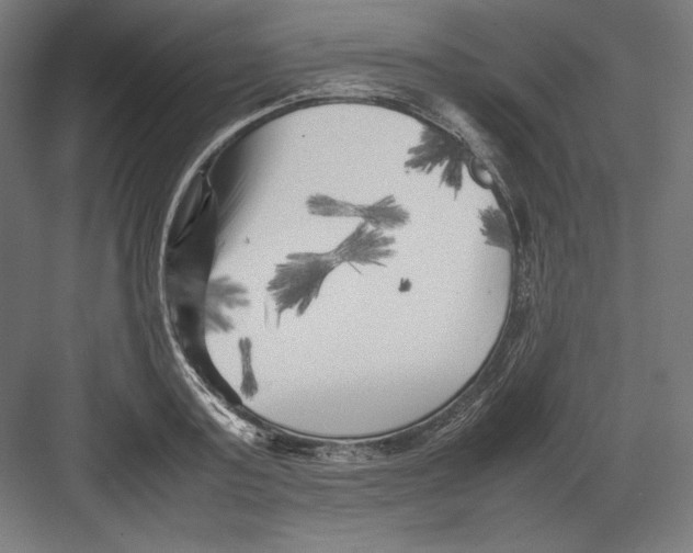 X0000082170795200702092242