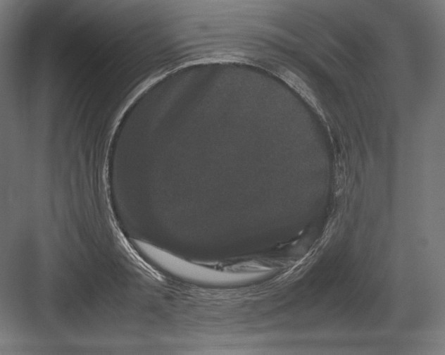 X0000082170797200702092242