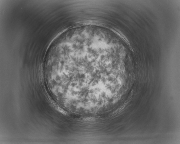 X0000082170798200702092242