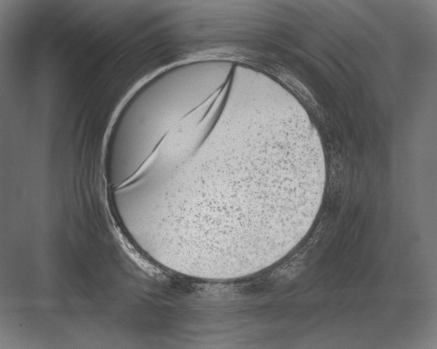 X0000082170800200702092242