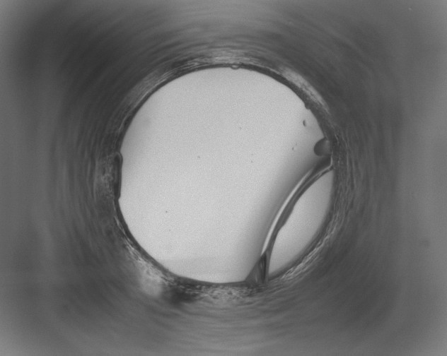 X0000082170801200702092242