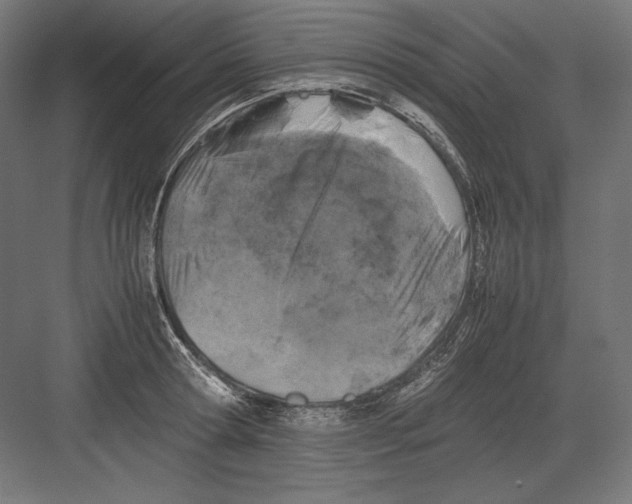 X0000082170802200702092242