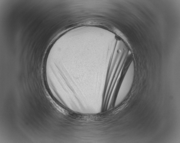 X0000082170803200702092242