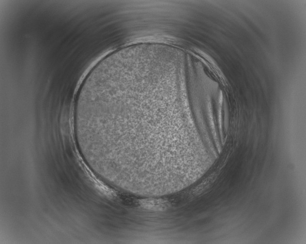 X0000082170804200702092242