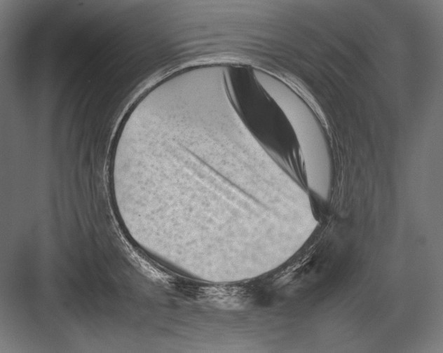 X0000082170805200702092242