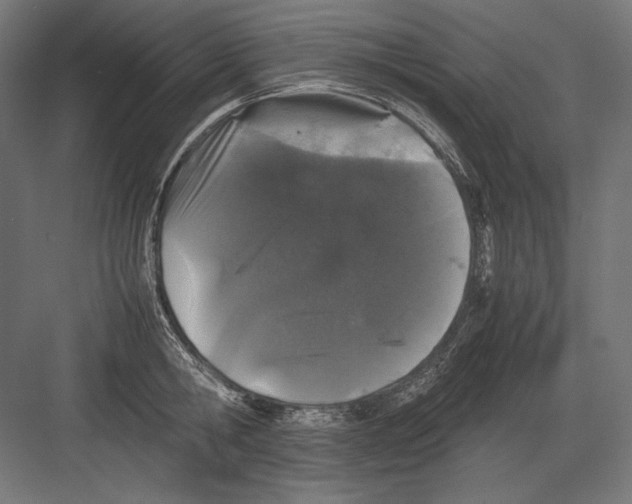 X0000082170806200702092242