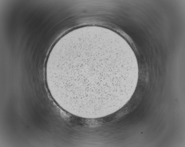 X0000082170807200702092242