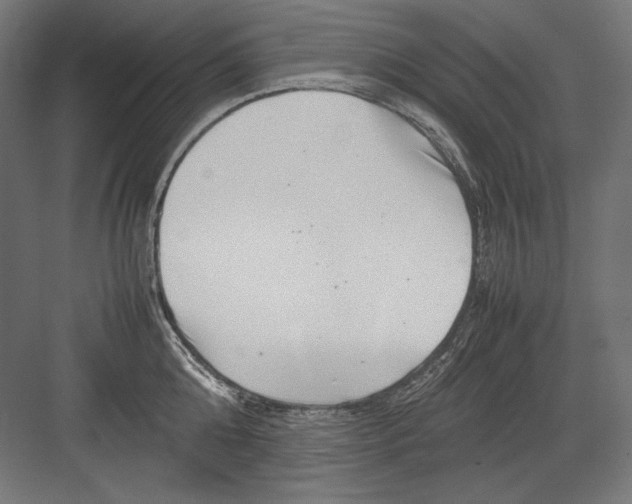 X0000082170808200702092242