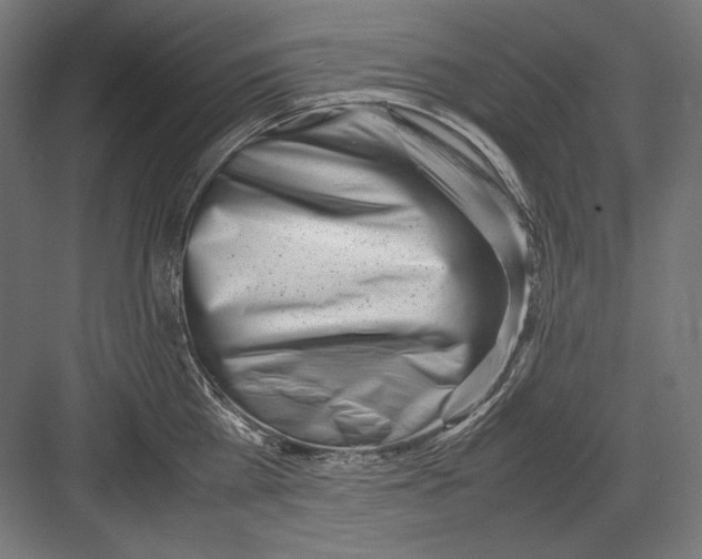 X0000082170809200702092242