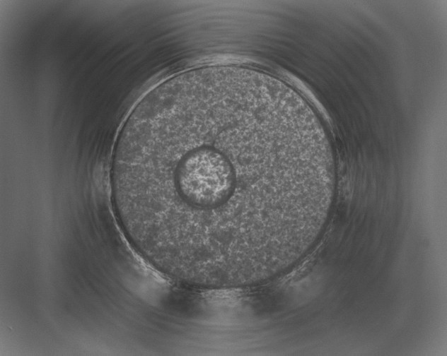 X0000082170810200702092242