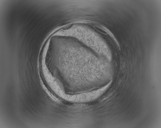 X0000082170811200702092242