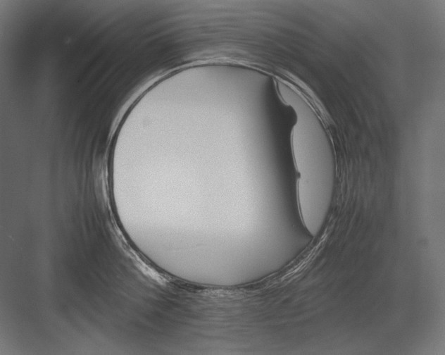 X0000082170812200702092242