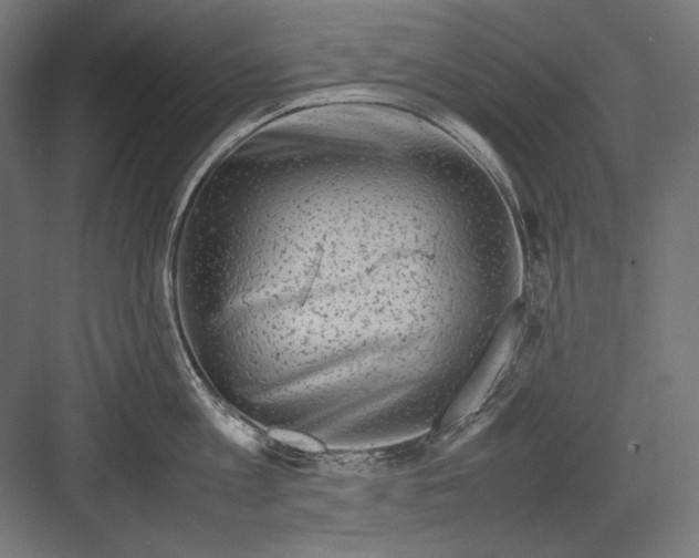 X0000082170813200702092242