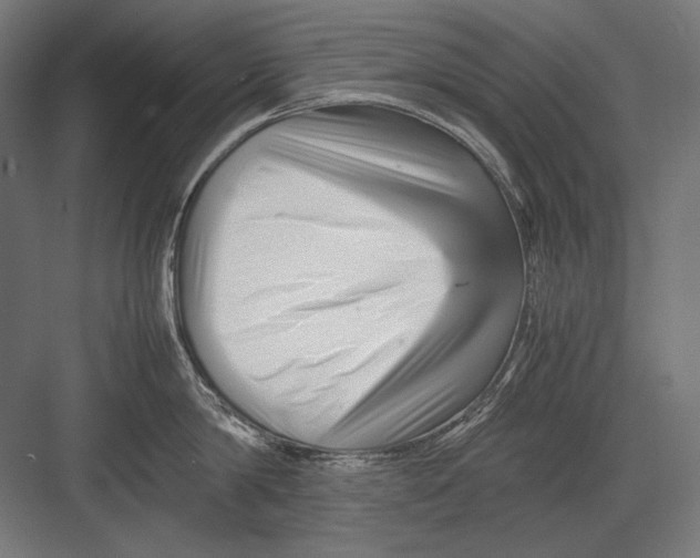 X0000082170814200702092242