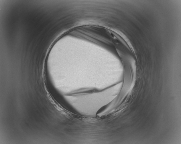 X0000082170815200702092242