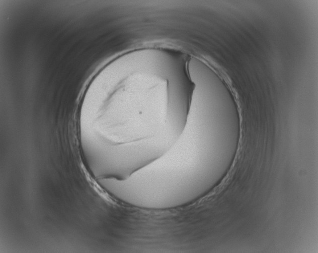 X0000082170816200702092242