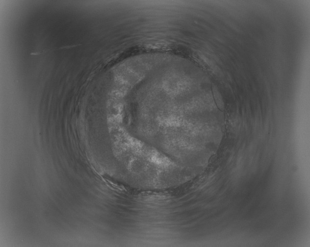 X0000082170817200702092241