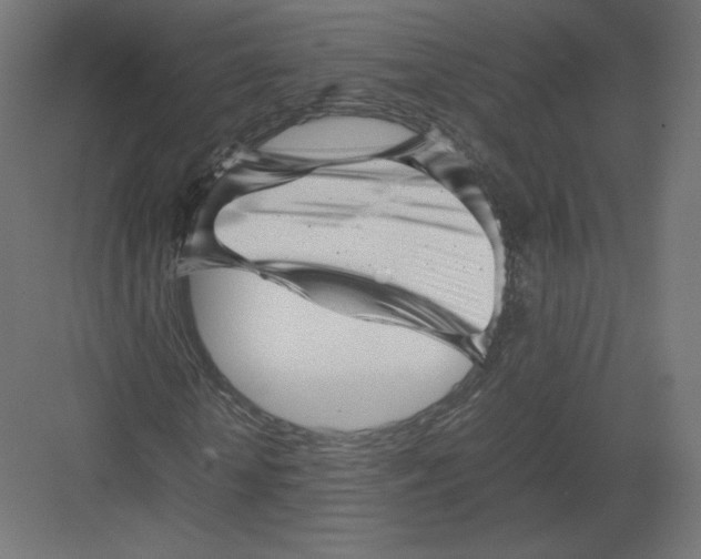 X0000082170818200702092241