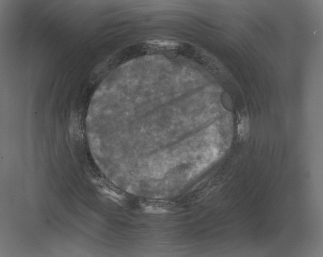 X0000082170819200702092241