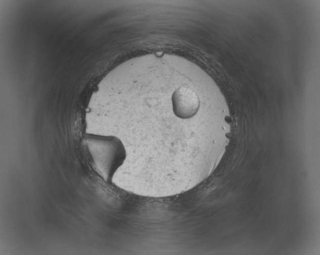 X0000082170820200702092241