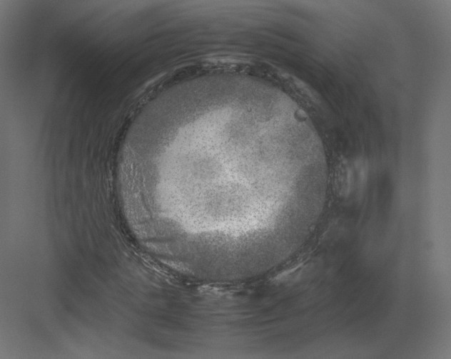 X0000082170821200702092241