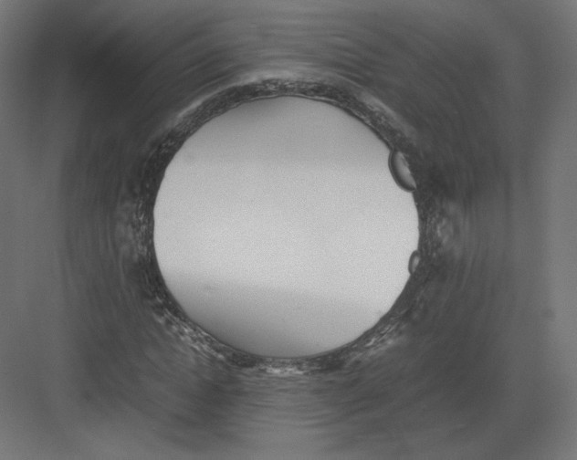 X0000082170822200702092241