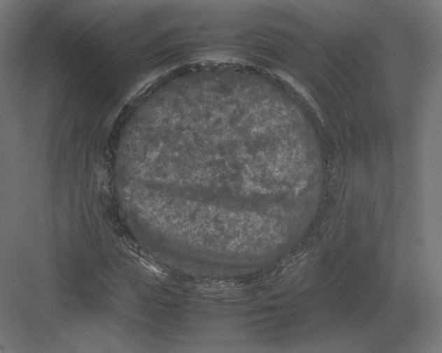 X0000082170823200702092241