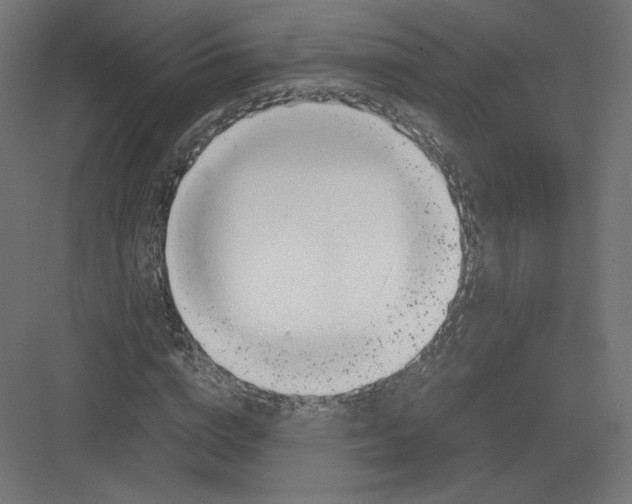 X0000082170824200702092241