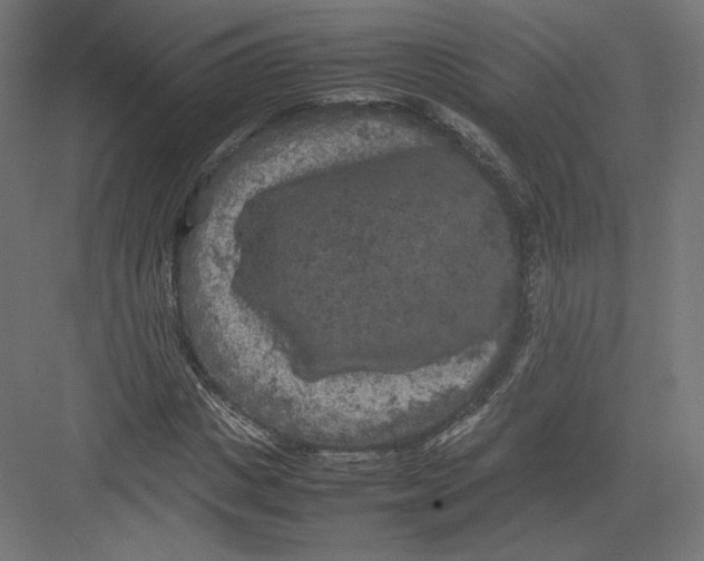 X0000082170825200702092241