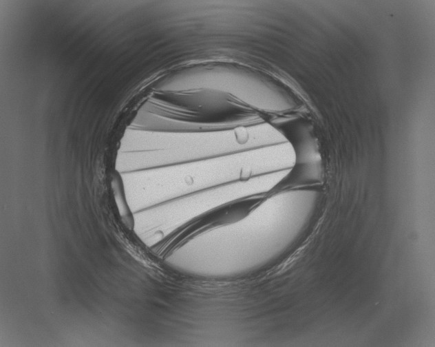 X0000082170826200702092241