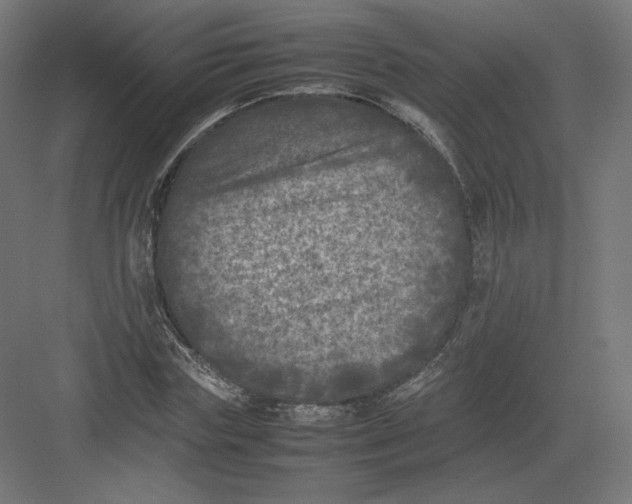 X0000082170827200702092241