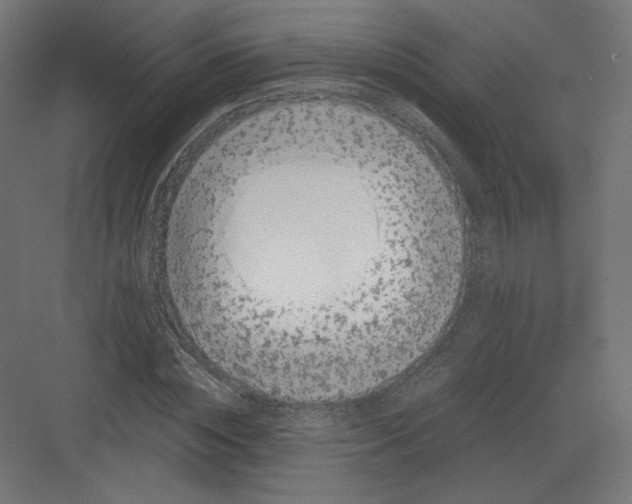 X0000082170828200702092241