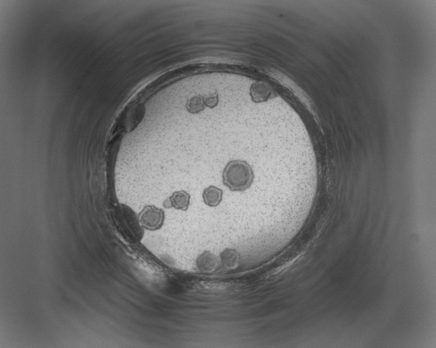 X0000082170829200702092241