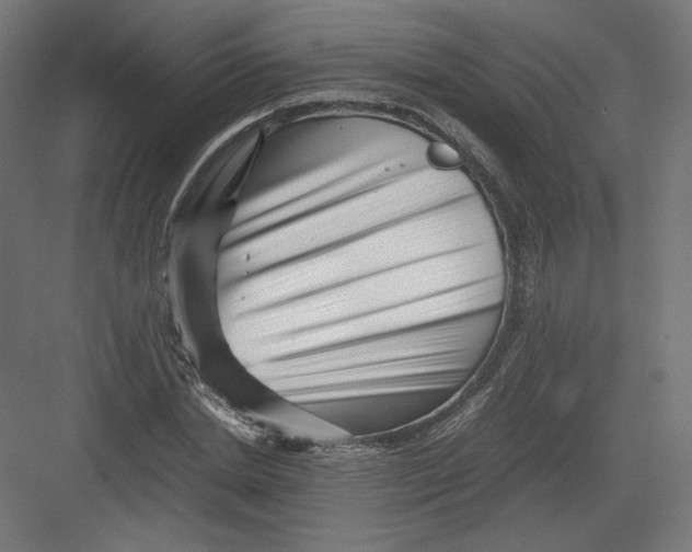 X0000082170830200702092241