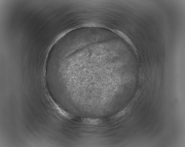 X0000082170831200702092241