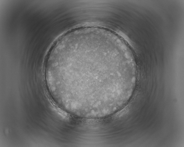 X0000082170832200702092241