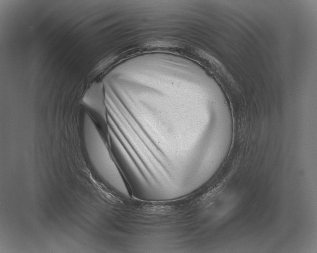 X0000082170833200702092241