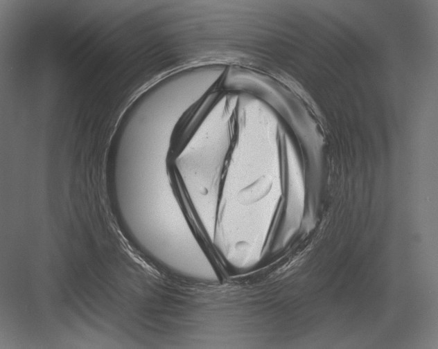 X0000082170834200702092241