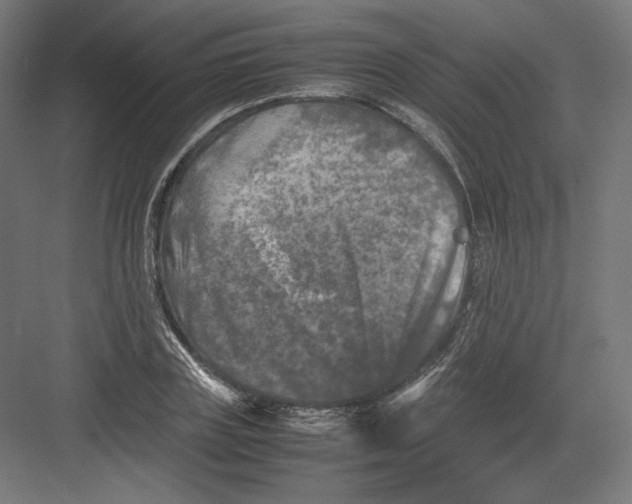 X0000082170835200702092241