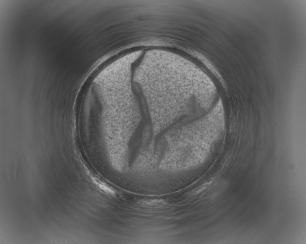 X0000082170837200702092241