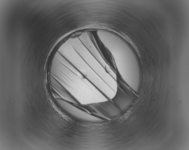 X0000082170838200702092241