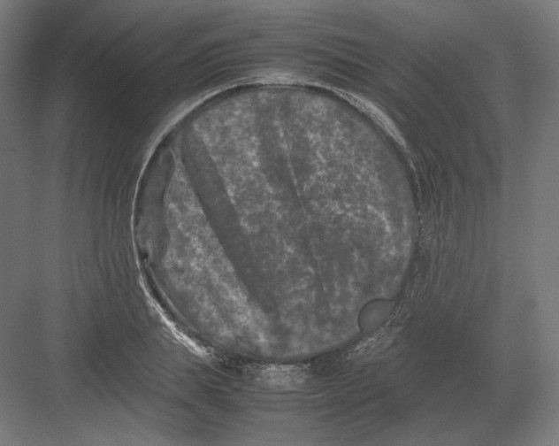 X0000082170839200702092241